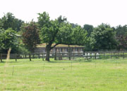 Blick zum Pferdestall